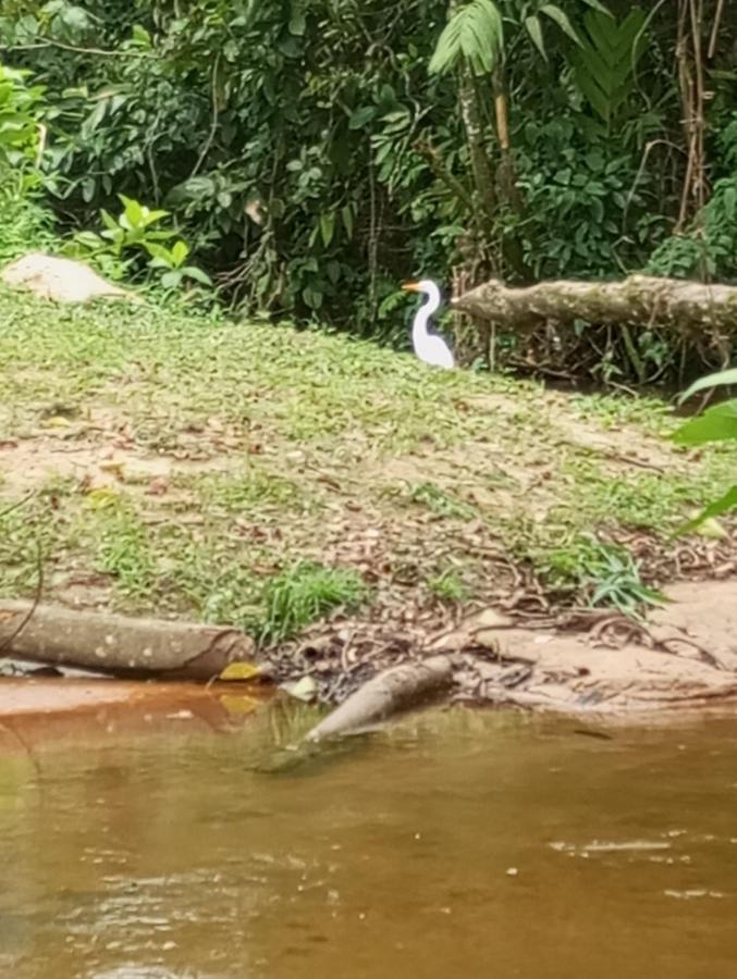 Pousada 5 Cachoeiras Ubatuba Eksteriør bilde