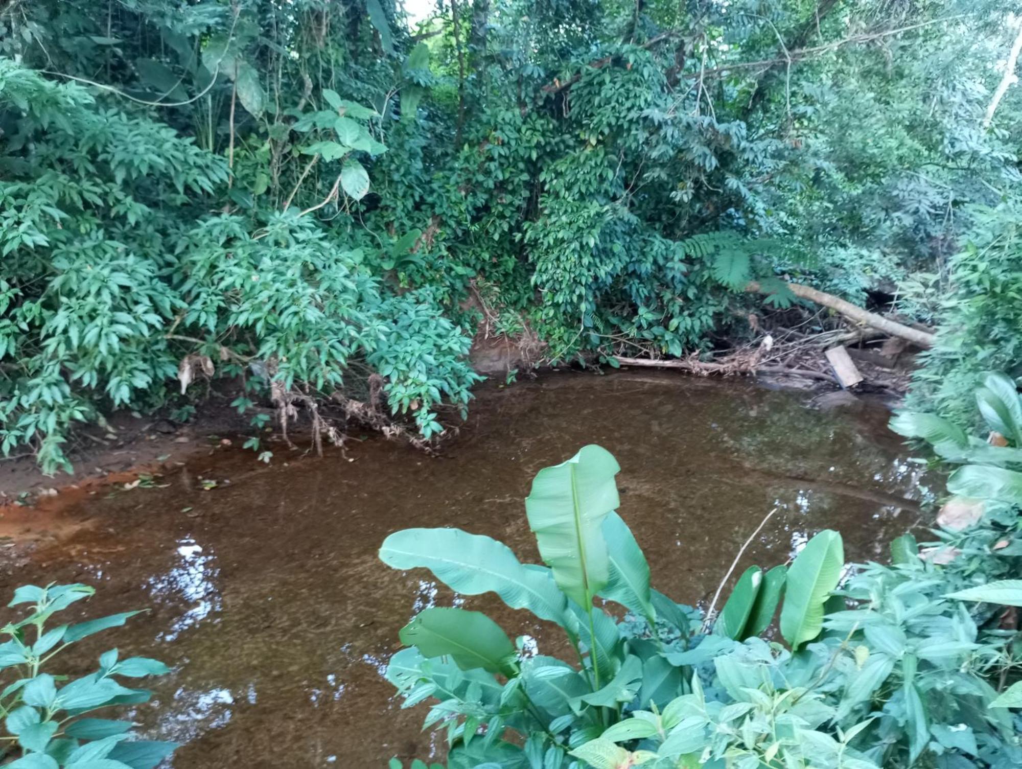 Pousada 5 Cachoeiras Ubatuba Eksteriør bilde